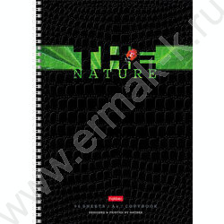 Тетрадь  96л А4 клетка/спираль "Nature" тиснение CROCO ассорти | Фото 1