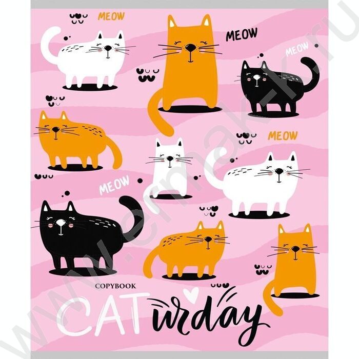 Тетрадь  96л клетка "Будни котиков" ассорти | Фото 3