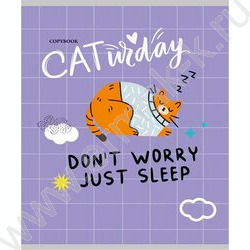 Тетрадь  96л клетка "Будни котиков" ассорти | Фото 4