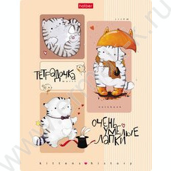 Тетрадь  24л клетка "Приключения кота Пирожка" 5видов | Фото 1