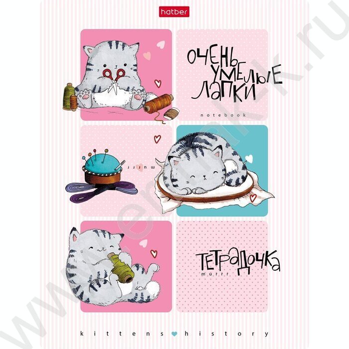 Тетрадь  24л клетка "Приключения кота Пирожка" 5видов | Фото 4