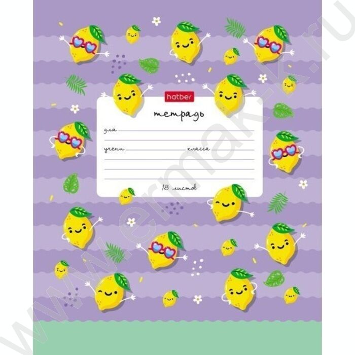 Тетрадь  18л клетка "Привет лето!" 5видов | Фото 4