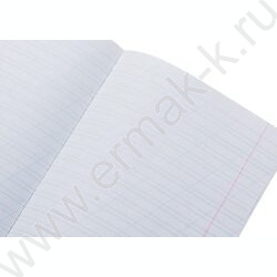 Тетрадь  12л линейка косая "Приключения кота Пирожка" 5видов | Фото 7