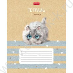 Тетрадь  12л линейка косая с доп.горизонтальной "Кошарики" 5видов | Фото 1