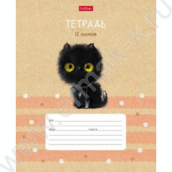 Тетрадь  12л линейка косая с доп.горизонтальной "Кошарики" 5видов | Фото 4