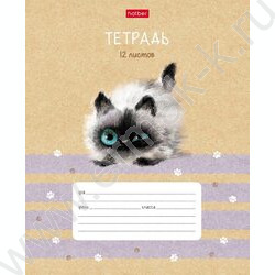 Тетрадь  12л линейка косая с доп.горизонтальной "Кошарики" 5видов | Фото 5