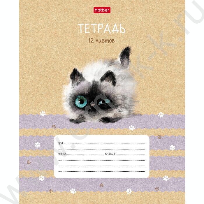 Тетрадь  12л линейка косая с доп.горизонтальной "Кошарики" 5видов | Фото 5