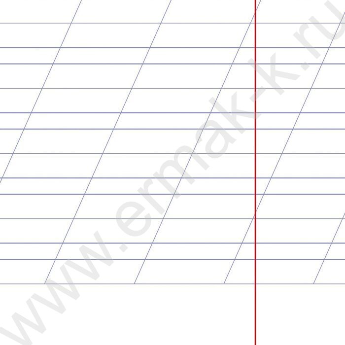 Тетрадь  12л линейка косая с доп.горизонтальной "Кошарики" 5видов | Фото 7