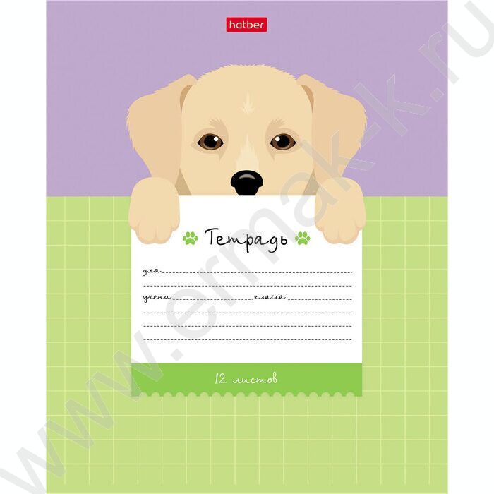 Тетрадь  12л клетка крупная "Поиграй со мной" 5видов | Фото 2