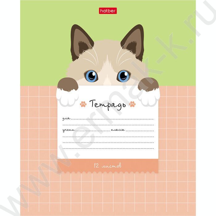 Тетрадь  12л клетка крупная "Поиграй со мной" 5видов | Фото 3