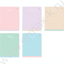 Тетрадь  48л клетка "Бриз" 5видов | Фото 1