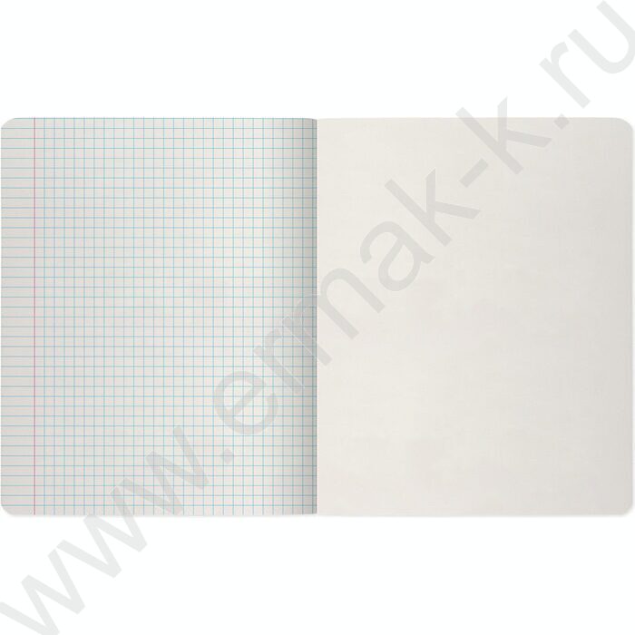 Тетрадь  48л клетка "Бриз" 5видов | Фото 9