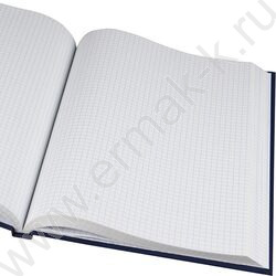 Книга Учёта 160л клетка тв.обл. офсет синяя | Фото 3