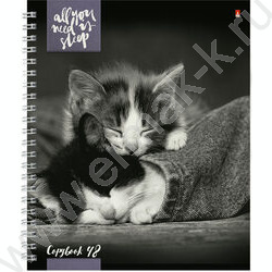 Тетрадь  48л А5+ клетка/спираль "Котята"Мур-мур" ассорти | Фото 2
