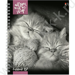 Тетрадь  48л А5+ клетка/спираль "Котята"Мур-мур" ассорти | Фото 3