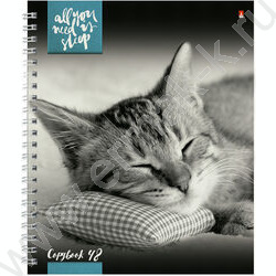 Тетрадь  48л А5+ клетка/спираль "Котята"Мур-мур" ассорти | Фото 4