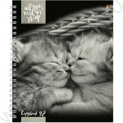 Тетрадь  48л А5+ клетка/спираль "Котята"Мур-мур" ассорти | Фото 5