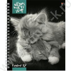 Тетрадь  48л А5+ клетка/спираль "Котята"Мур-мур" ассорти | Фото 6