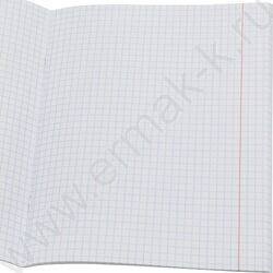 Тетрадь предметная 48л "Крейзи" Английский язык /лён/неон/ | Фото 2