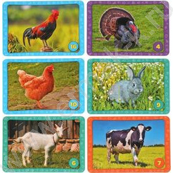 Мемо Домашние животные.Тренируем память | Фото 5
