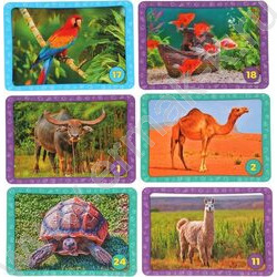 Мемо Домашние животные.Тренируем память | Фото 6