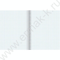 Тетрадь  96л А5 клетка/спираль "Sunny beach" /выб.лак/ | Фото 6