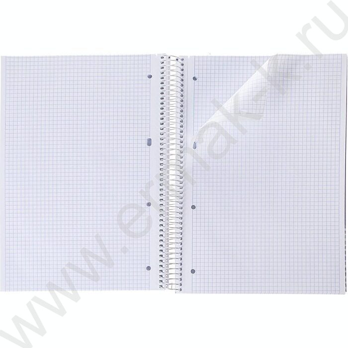 Тетрадь 160л А4 клетка/спираль/тв.обл. "Романтика" | Фото 2