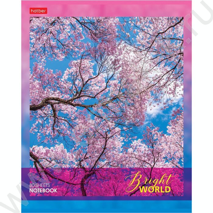 Тетрадь  80л клетка "Яркий мир" | Фото 2