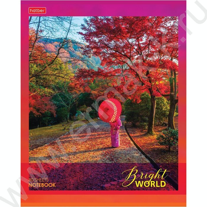 Тетрадь  80л клетка "Яркий мир" | Фото 4