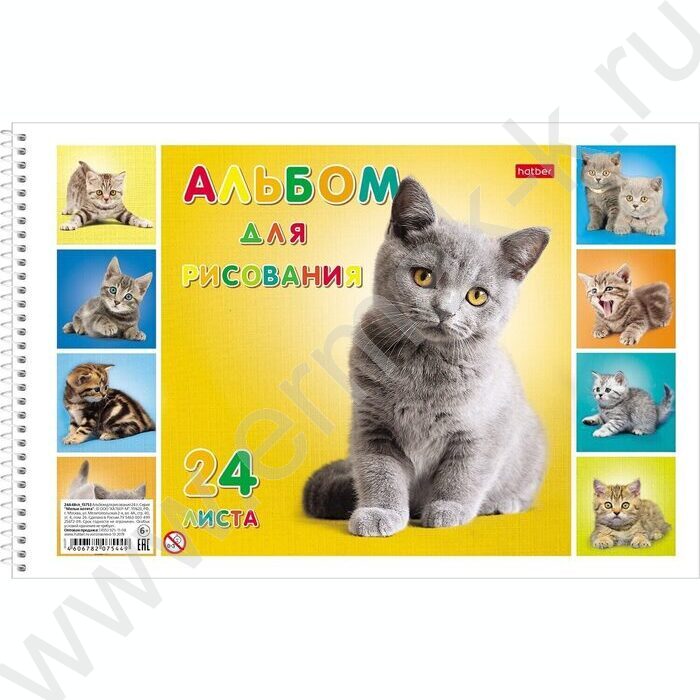 Альбом д/рисования-спираль 24л "Милые котята" /лак/ 5видов | Фото 2