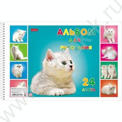 Альбом д/рисования-спираль 24л "Милые котята" /лак/ 5видов | Фото 3