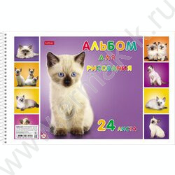 Альбом д/рисования-спираль 24л "Милые котята" /лак/ 5видов | Фото 5