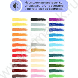 Пастель масляная 36цв "Студия" /картон.кор. | Фото 5