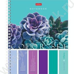 Тетрадь  96л клетка/спираль/перфорация на отрыв "Color Set" /с карманом без линовки с шаблон | Фото 1