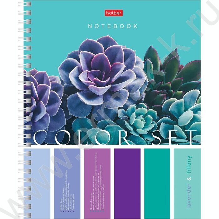 Тетрадь  96л клетка/спираль/перфорация на отрыв "Color Set" /с карманом без линовки с шаблон | Фото 1