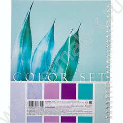 Тетрадь  96л клетка/спираль/перфорация на отрыв "Color Set" /с карманом без линовки с шаблон | Фото 2