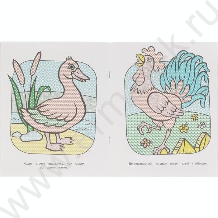 Раскраска водная А4 Домашние животные | Фото 3