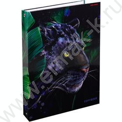 Тетрадь 160л клетка/кольца "Грациозная пантера-1" | Фото 1