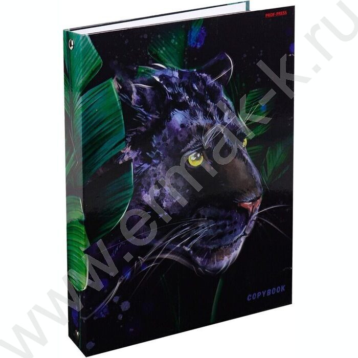 Тетрадь 160л клетка/кольца "Грациозная пантера-1" | Фото 1