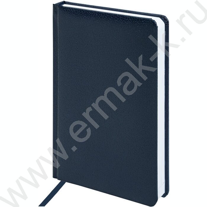 Ежедневник н/дат А5 136л "Profile" синий /тв.обл. балакрон, ляссе, справ. информация | Фото 1