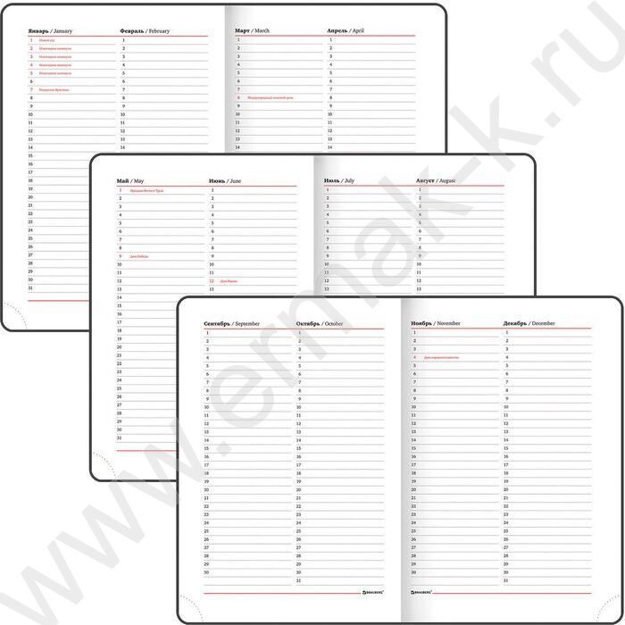 Ежедневник н/дат А5 136л "Profile" синий /тв.обл. балакрон, ляссе, справ. информация | Фото 5