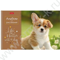 Альбом д/рисования-спираль 40л "Doggie-Щенки" /перфорация/ 4вида | Фото 2