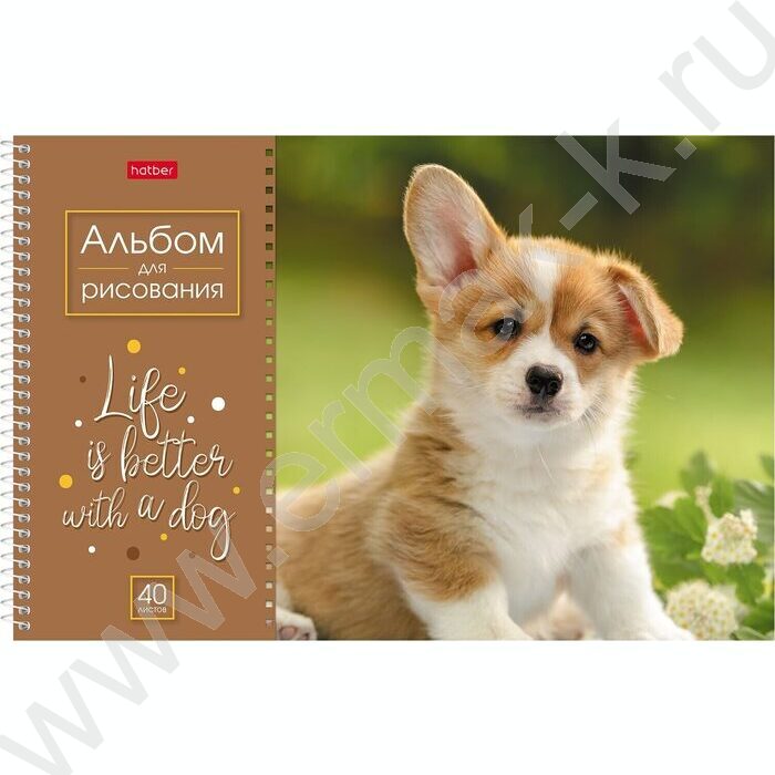 Альбом д/рисования-спираль 40л "Doggie-Щенки" /перфорация/ 4вида | Фото 2