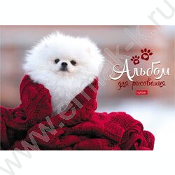 Альбом д/рисования-склейка 24л "Моё любимое начало дня" /жесткая подложка,глянц. ламинация ассор | Фото 1