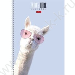 Тетрадь  96л А4 клетка спираль "Кто здесь?" /мат.лам/ 4вида | Фото 3