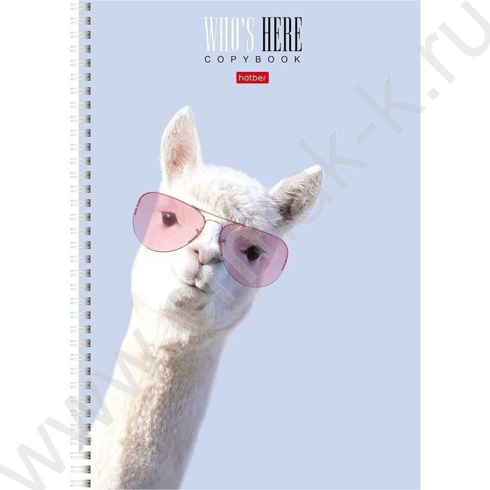 Тетрадь  96л А4 клетка спираль "Кто здесь?" /мат.лам/ 4вида | Фото 3