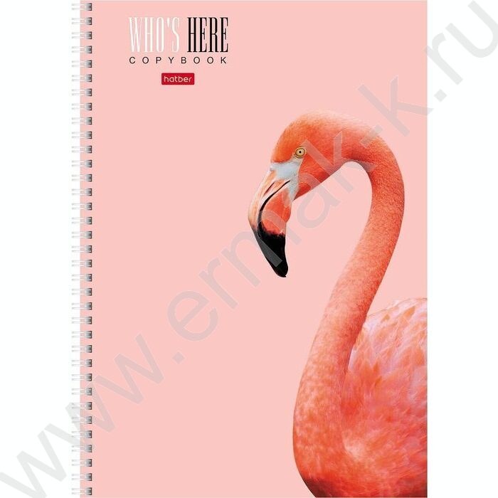 Тетрадь  96л А4 клетка спираль "Кто здесь?" /мат.лам/ 4вида | Фото 4