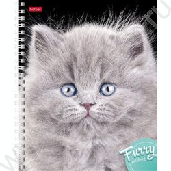 Тетрадь  80л клетка/спираль "Пушистые мордочки" | Фото 2