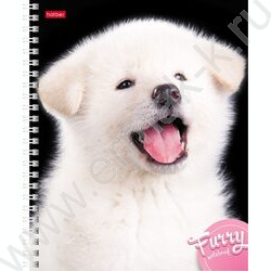 Тетрадь  80л клетка/спираль "Пушистые мордочки" | Фото 3