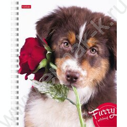 Тетрадь  80л клетка/спираль "Пушистые мордочки" | Фото 4